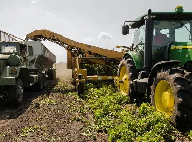 Agriculture Thumbnail